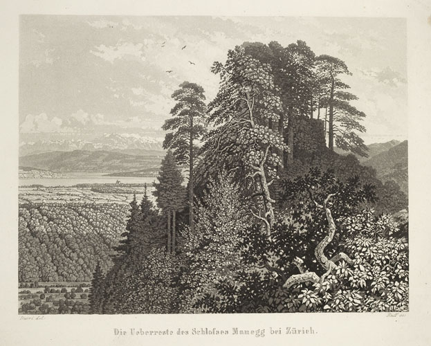 Der Stammsitz der Familie Manesse: Burg Manegg