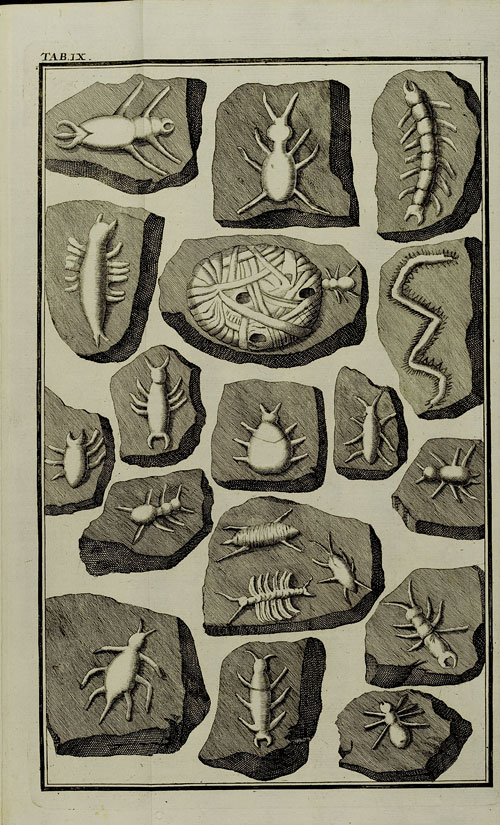 „Figurensteine“ mit Insekten (Taf. IX )
