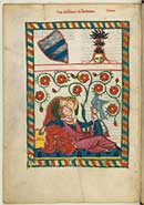 Conrad von Altstetten, Codex Manesse, Blatt 249v