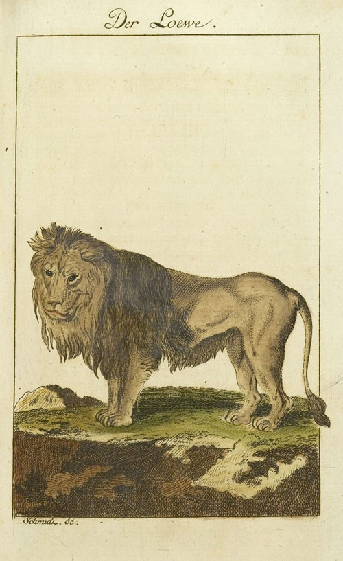 Der Löwe (Bd. 5, 1777, Taf. XLVII)