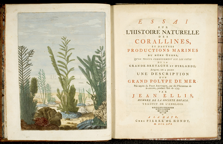 Titelkupfer mit einer Unterwasserlandschaft und Titelseite der Naturgeschichte der Corallen 
